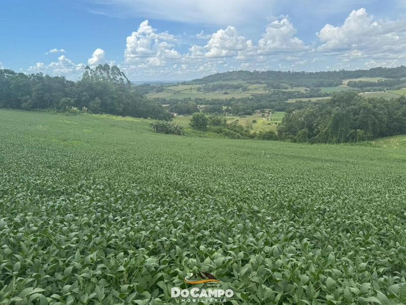 : 8ª foto da galeria de imagens do imóvel