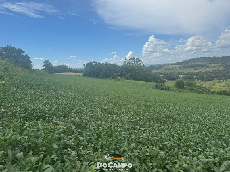 : 5ª foto da galeria de imagens do imóvel