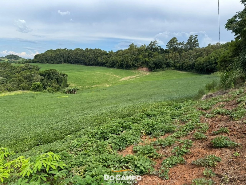 : 7ª foto da galeria de imagens do imóvel