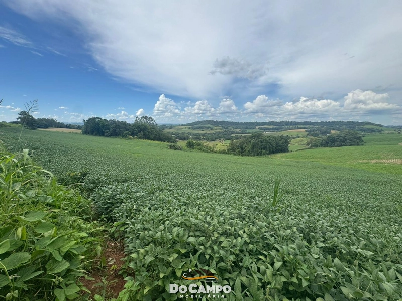 : 1ª foto da galeria de imagens do imóvel