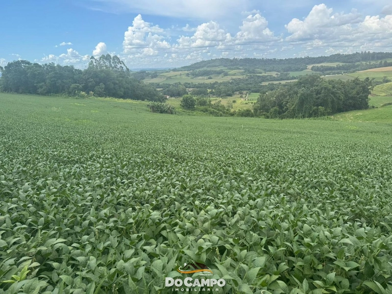 : 6ª foto da galeria de imagens do imóvel