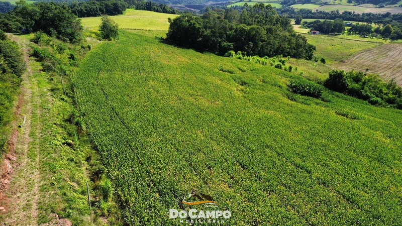 : 8ª foto da galeria de imagens do imóvel