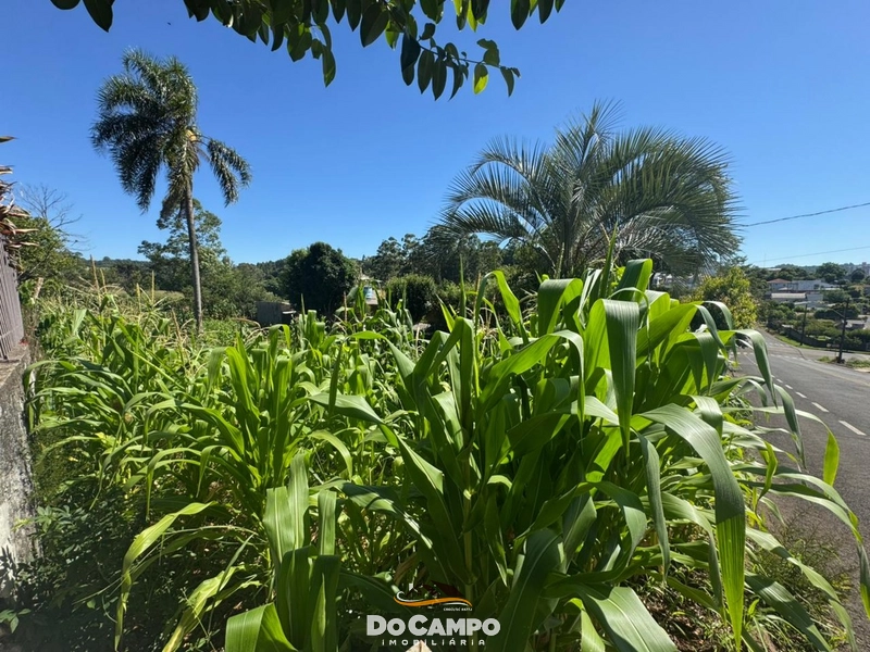 : 5ª foto da galeria de imagens do imóvel