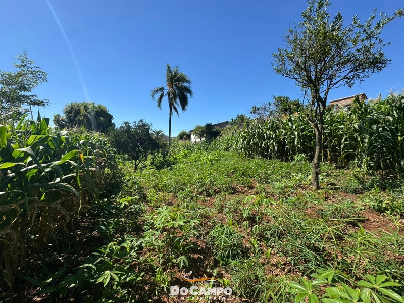 : 12ª foto da galeria de imagens do imóvel