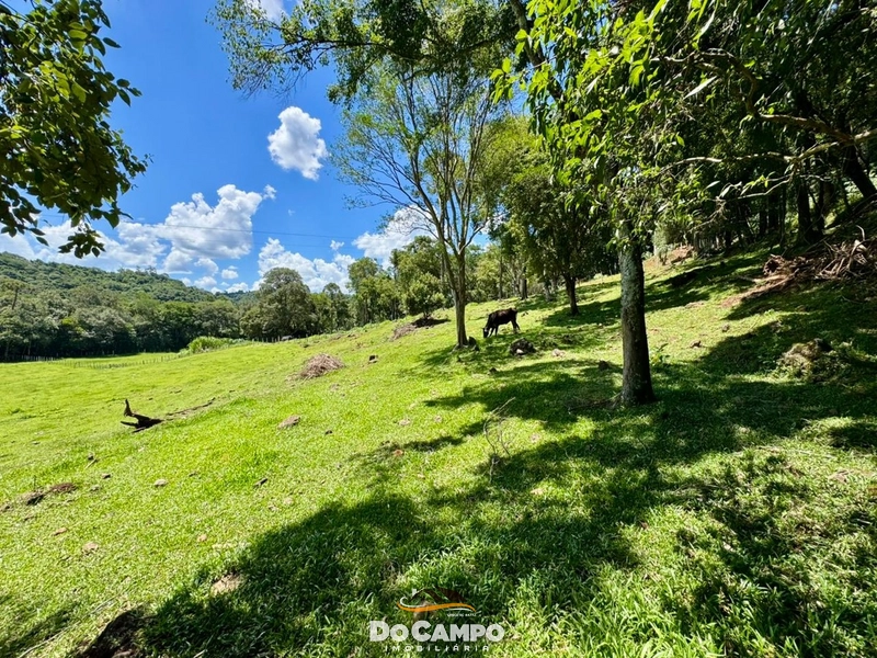 : 4ª foto da galeria de imagens do imóvel