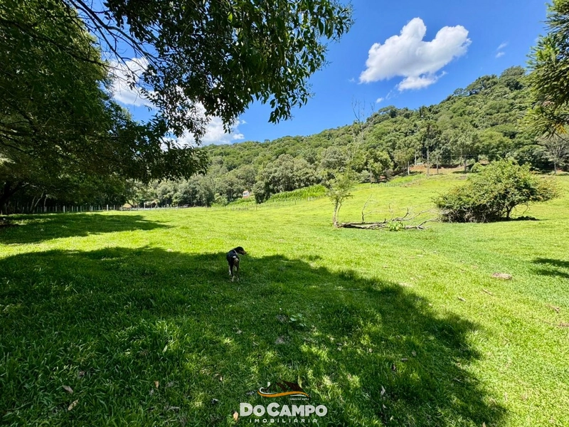 : 6ª foto da galeria de imagens do imóvel