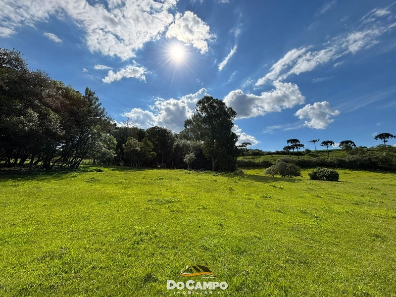 : 24ª foto da galeria de imagens do imóvel