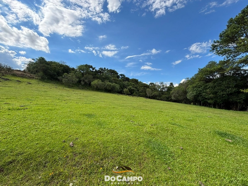 : 49ª foto da galeria de imagens do imóvel