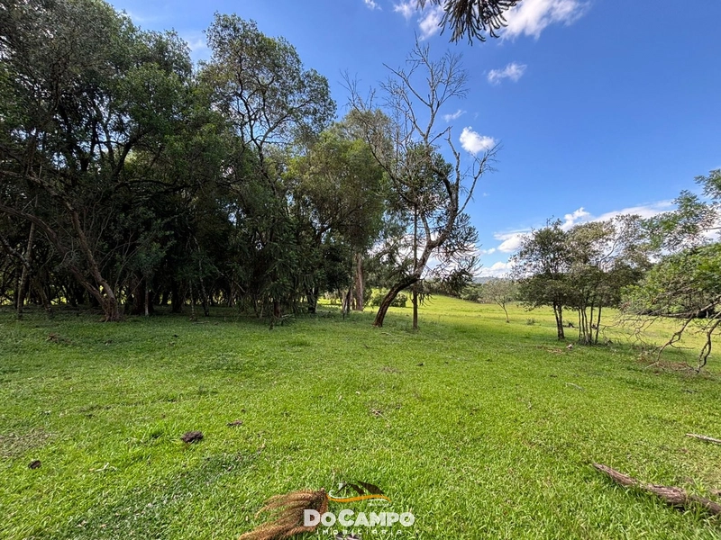 : 33ª foto da galeria de imagens do imóvel