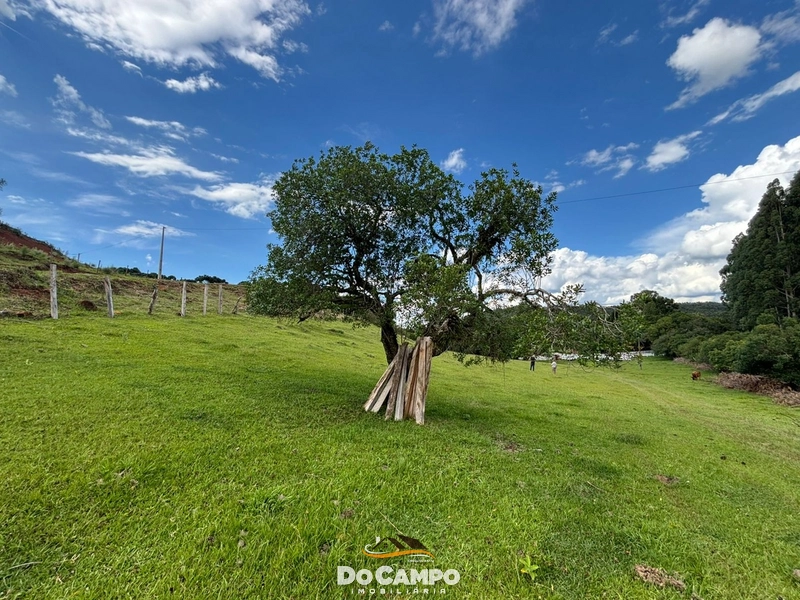 : 48ª foto da galeria de imagens do imóvel