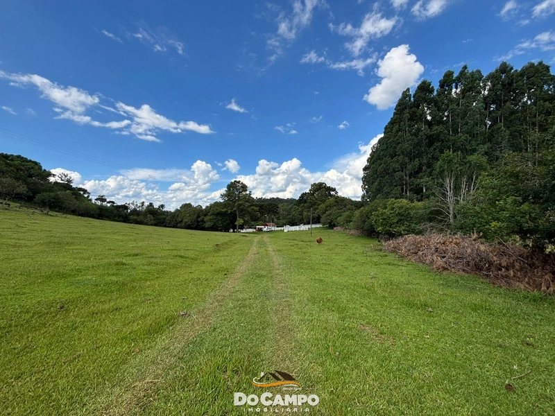 : 46ª foto da galeria de imagens do imóvel