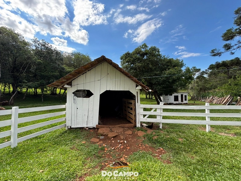 : 11ª foto da galeria de imagens do imóvel