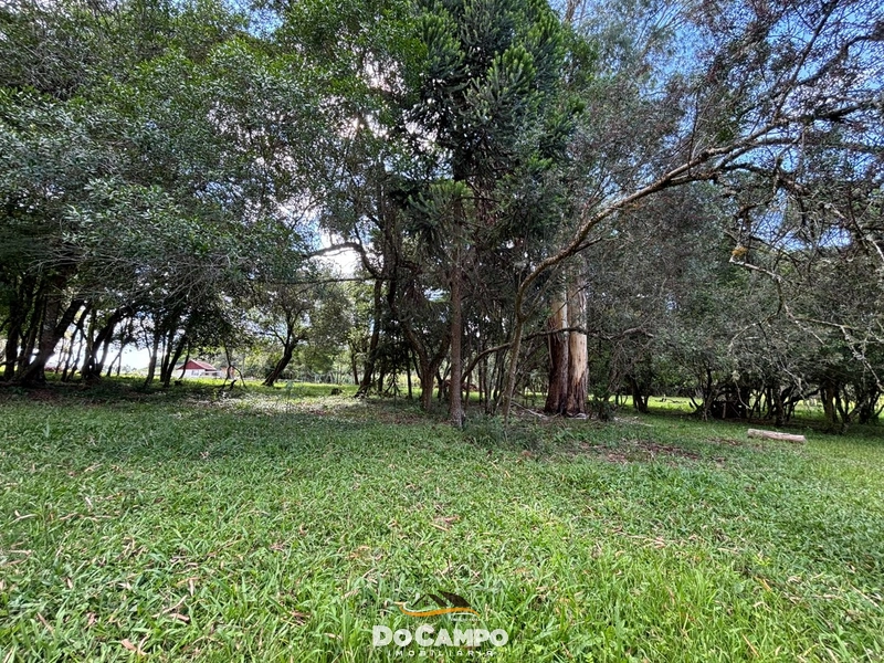 : 39ª foto da galeria de imagens do imóvel