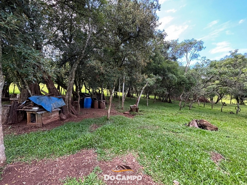 : 43ª foto da galeria de imagens do imóvel