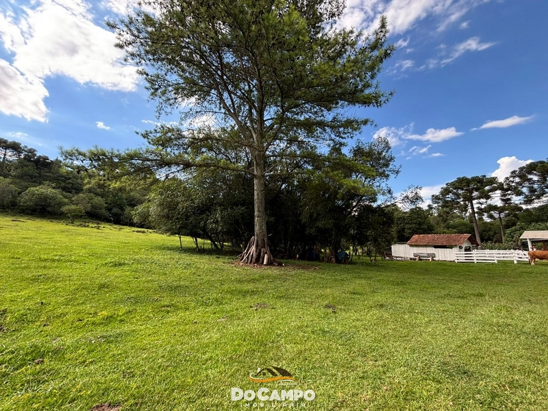 : 45ª foto da galeria de imagens do imóvel