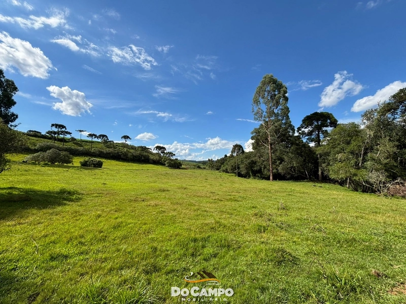 : 27ª foto da galeria de imagens do imóvel