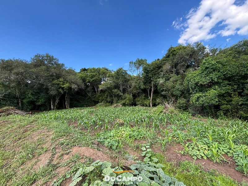 : 38ª foto da galeria de imagens do imóvel