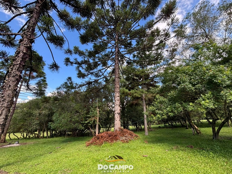 : 31ª foto da galeria de imagens do imóvel