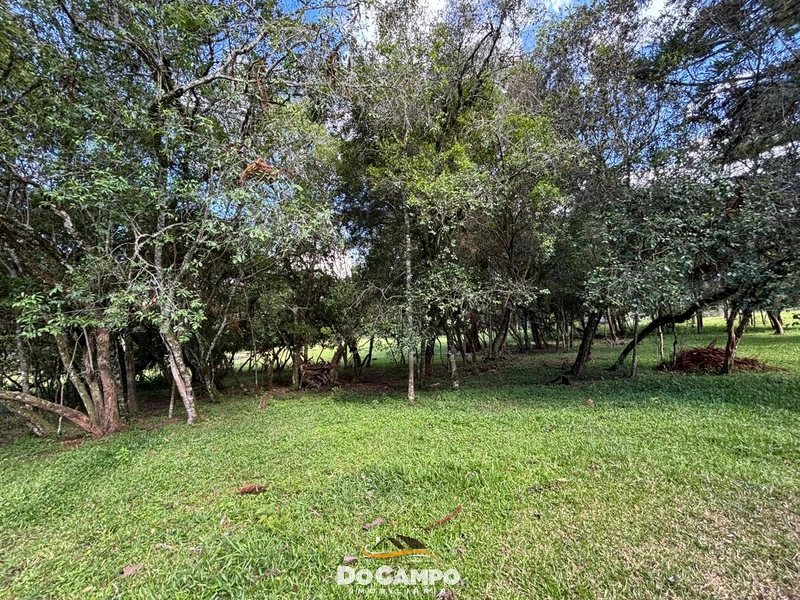 : 40ª foto da galeria de imagens do imóvel