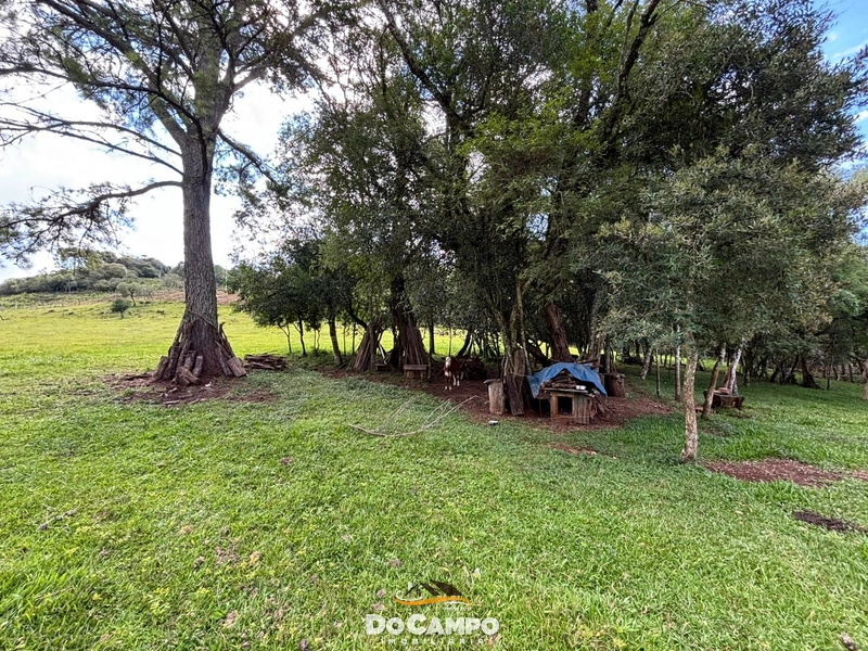 : 42ª foto da galeria de imagens do imóvel