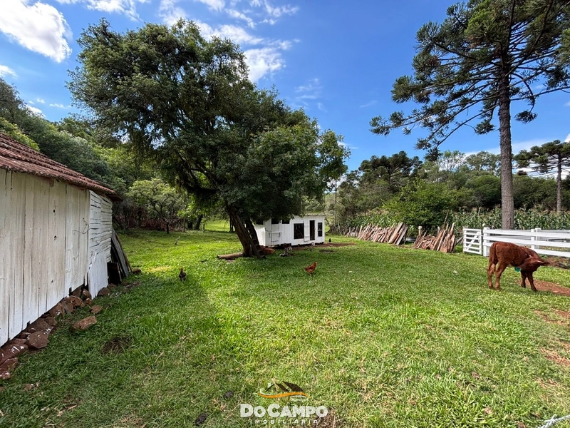 : 13ª foto da galeria de imagens do imóvel