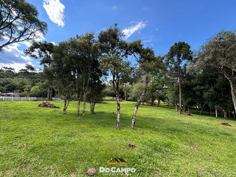 : 35ª foto da galeria de imagens do imóvel