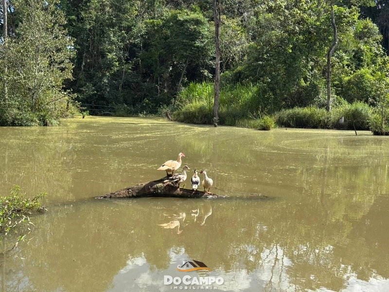 : 25ª foto da galeria de imagens do imóvel