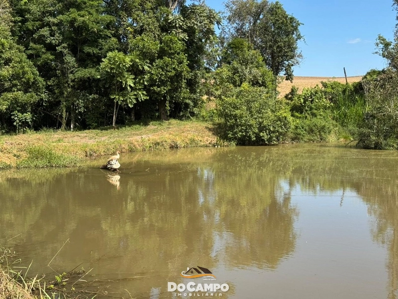 : 22ª foto da galeria de imagens do imóvel