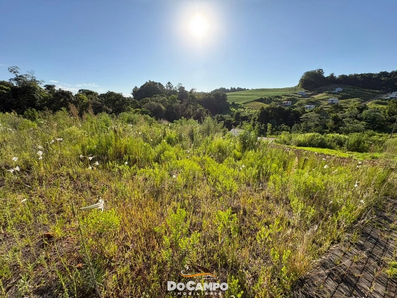 : 5ª foto da galeria de imagens do imóvel