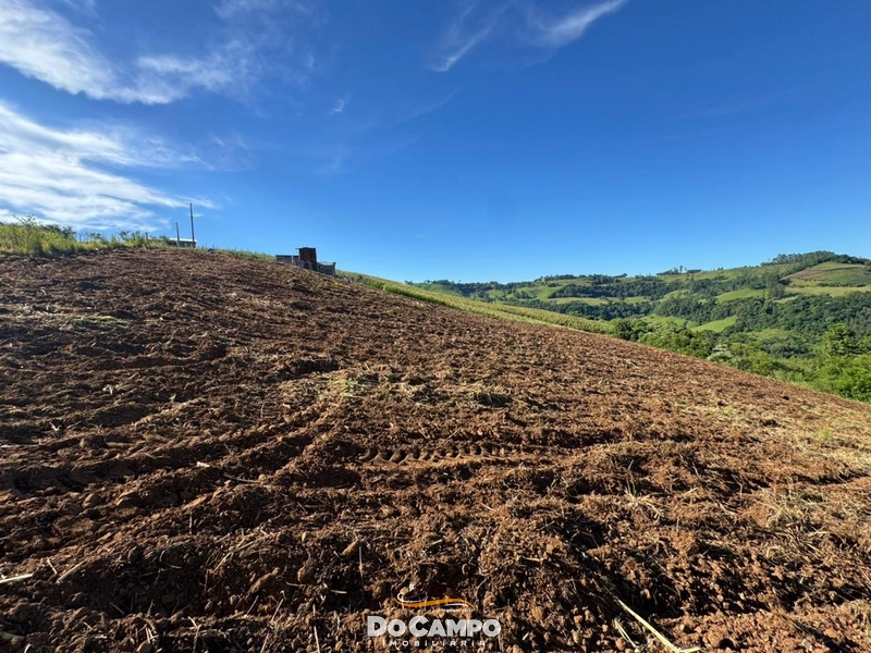 : 5ª foto da galeria de imagens do imóvel