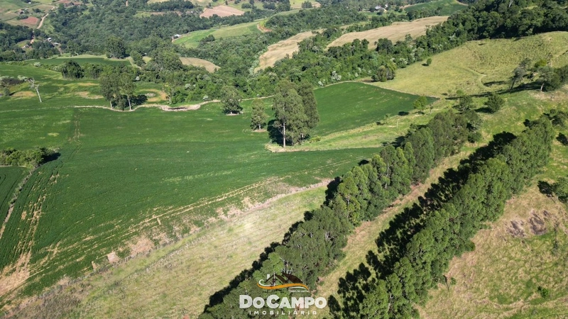 : 10ª foto da galeria de imagens do imóvel