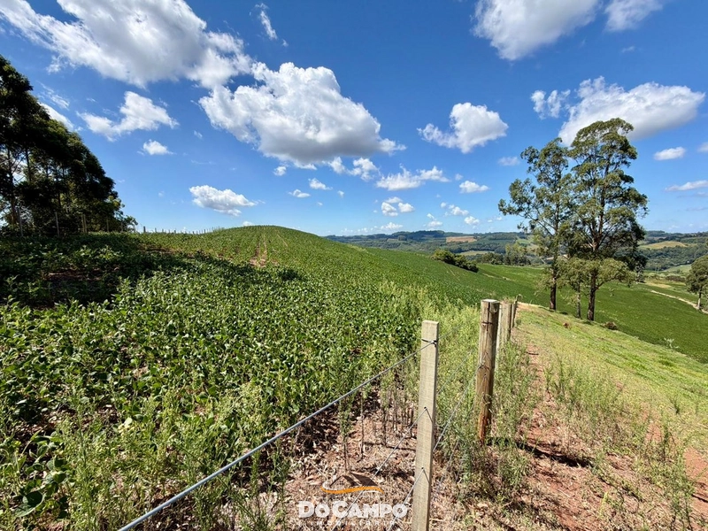 : 30ª foto da galeria de imagens do imóvel