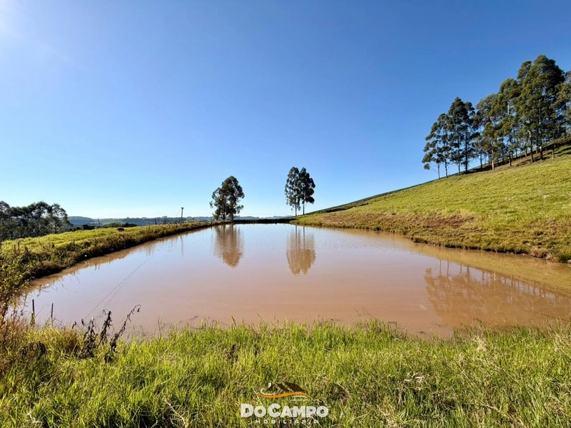 : 19ª foto da galeria de imagens do imóvel