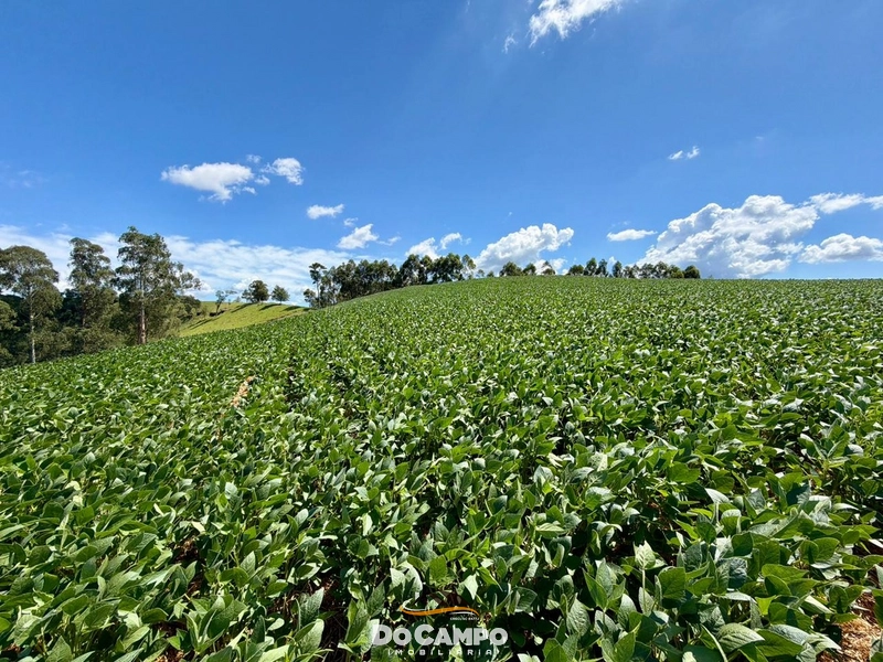 : 31ª foto da galeria de imagens do imóvel