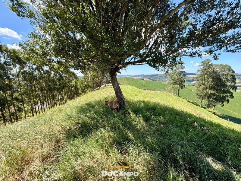 : 27ª foto da galeria de imagens do imóvel