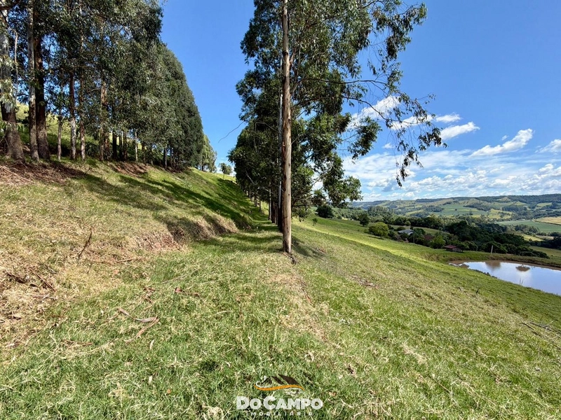 : 22ª foto da galeria de imagens do imóvel