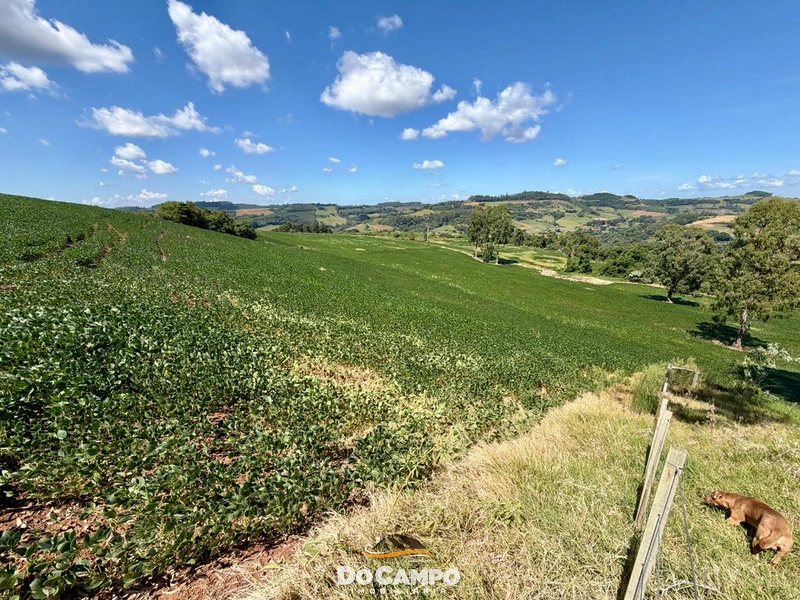 : 33ª foto da galeria de imagens do imóvel