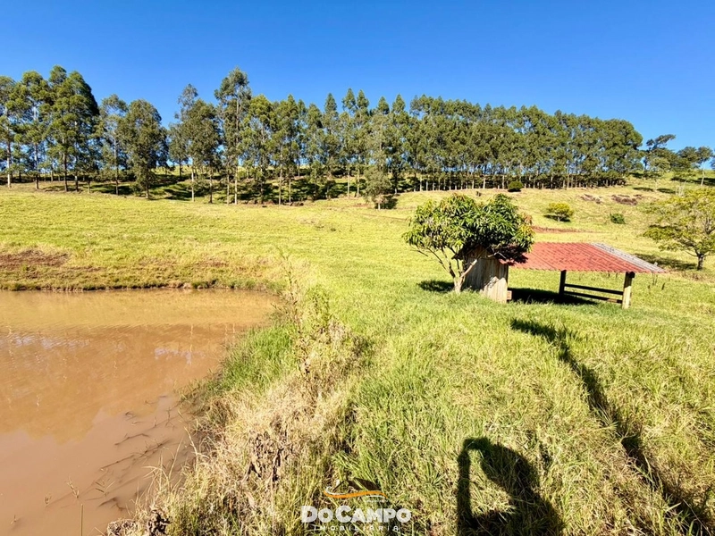 : 20ª foto da galeria de imagens do imóvel