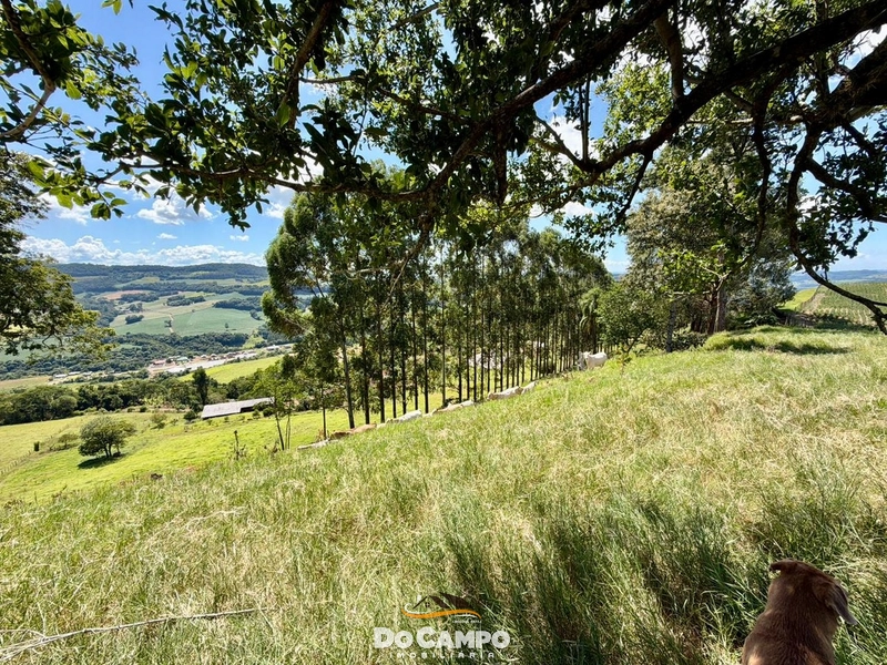 : 26ª foto da galeria de imagens do imóvel