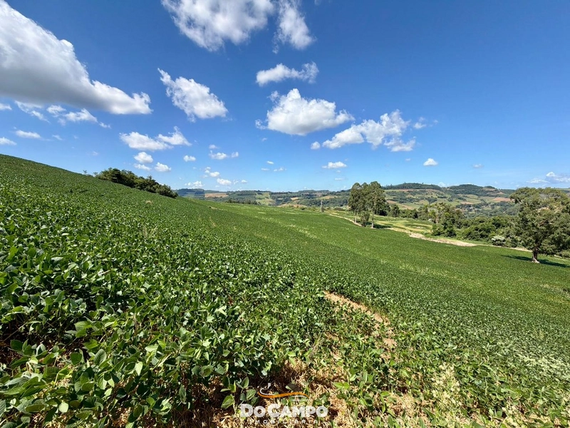 : 32ª foto da galeria de imagens do imóvel