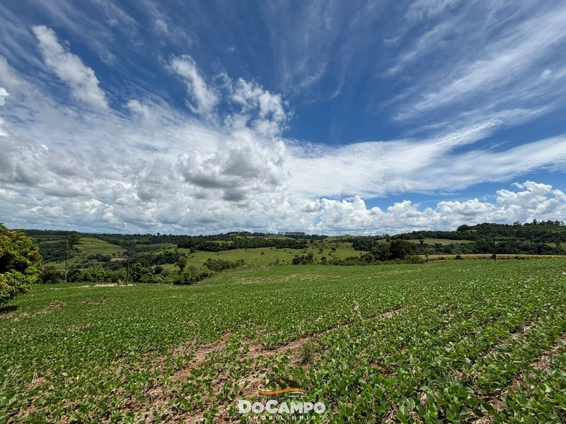 : 15ª foto da galeria de imagens do imóvel