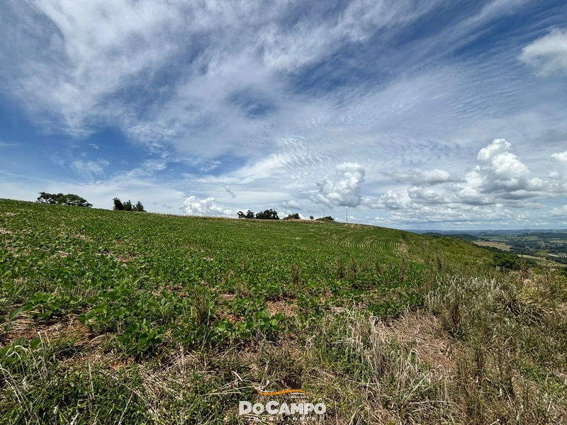 : 11ª foto da galeria de imagens do imóvel