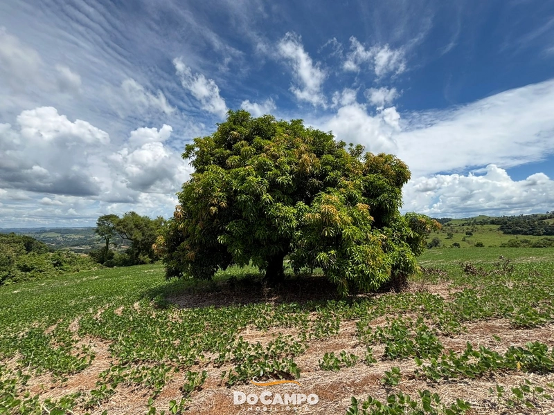 : 14ª foto da galeria de imagens do imóvel