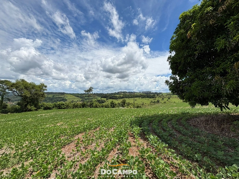 : 6ª foto da galeria de imagens do imóvel