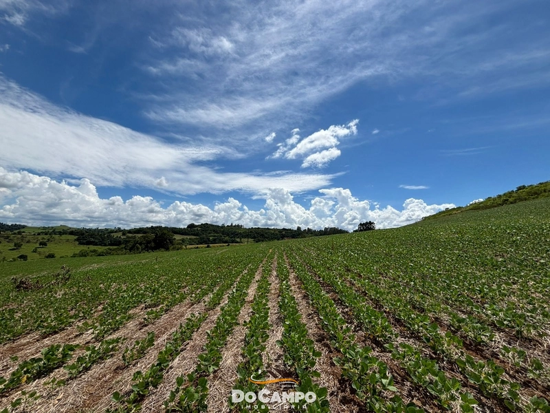 : 4ª foto da galeria de imagens do imóvel