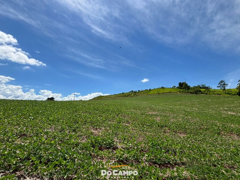 : 8ª foto da galeria de imagens do imóvel