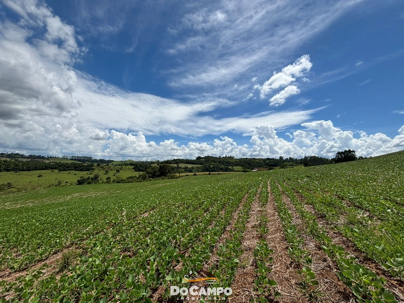 : 13ª foto da galeria de imagens do imóvel