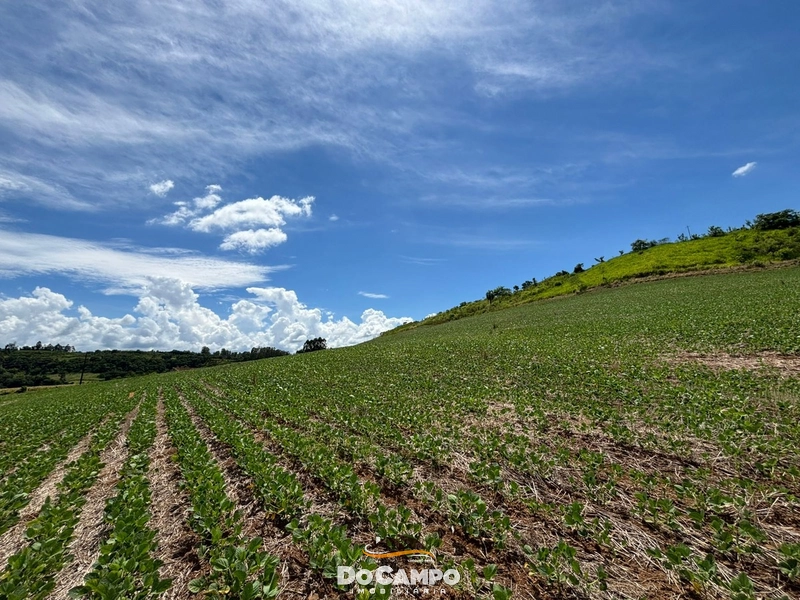 : 5ª foto da galeria de imagens do imóvel