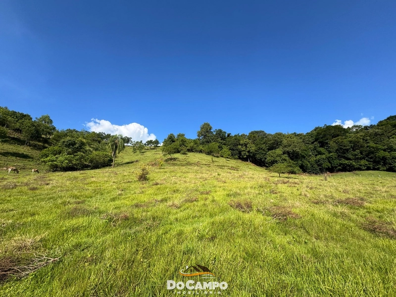 : 13ª foto da galeria de imagens do imóvel