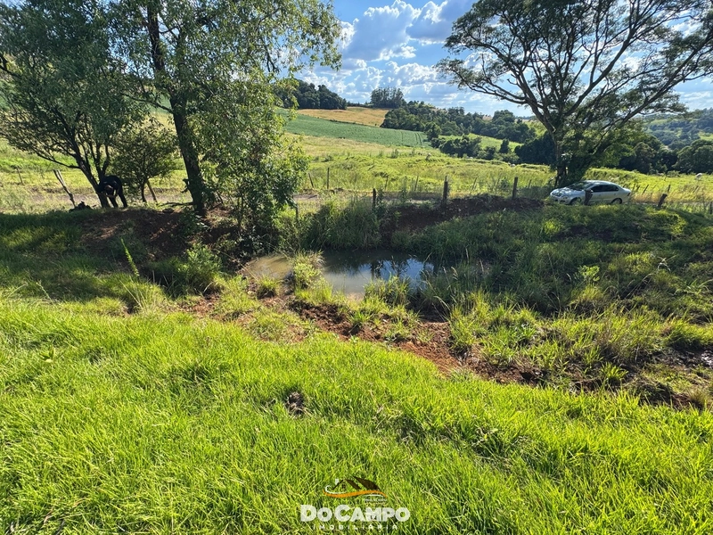 : 11ª foto da galeria de imagens do imóvel